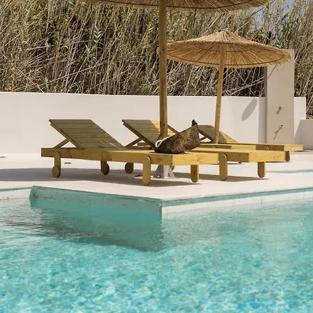 Finest -seaside With Private Swimming Pool- * Mikri Vigla
