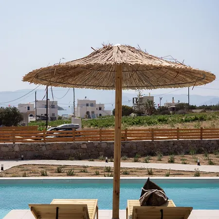 Finest -seaside With Private Swimming Pool- Villa Mikri Vigla